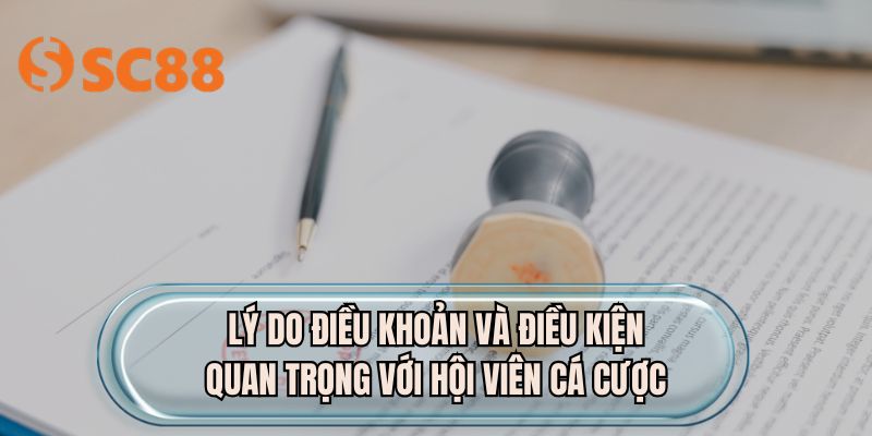 Lý do điều khoản và điều kiện quan trọng với hội viên cá cược